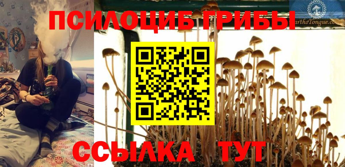 Галлюциногенные грибы GOLDEN TEACHER  Вход с VPN  Кузнецк  Псилоцибиновые грибы Cubensis 